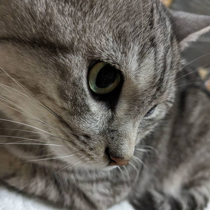 1f3d2cef 8c3a 4969 bf9d 5868b0fdf657 1705801348450