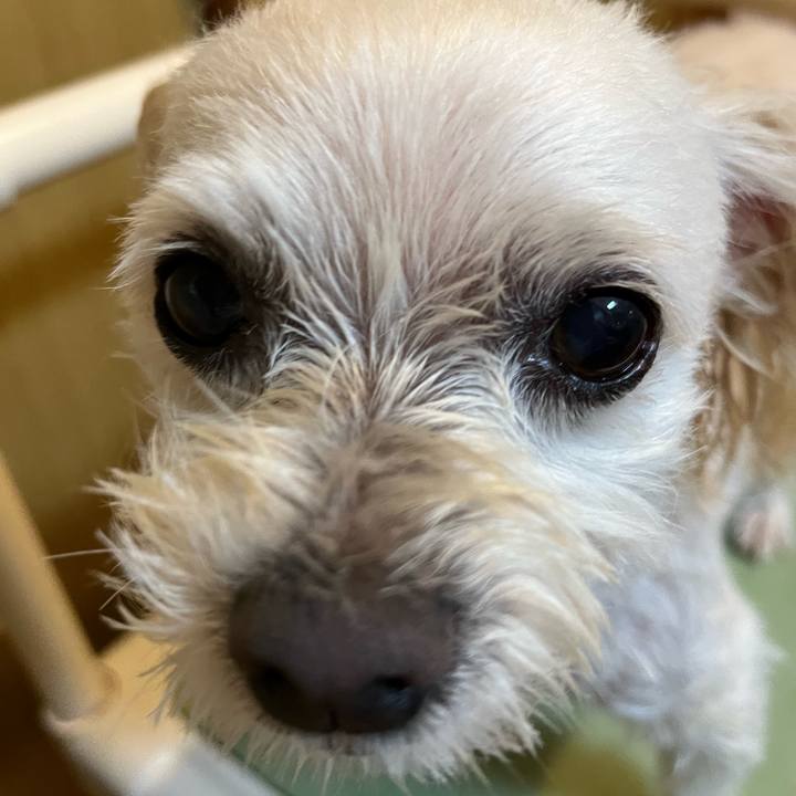 1f3d6f34 2acc 4a56 903f b25add96d51d 1687782004156