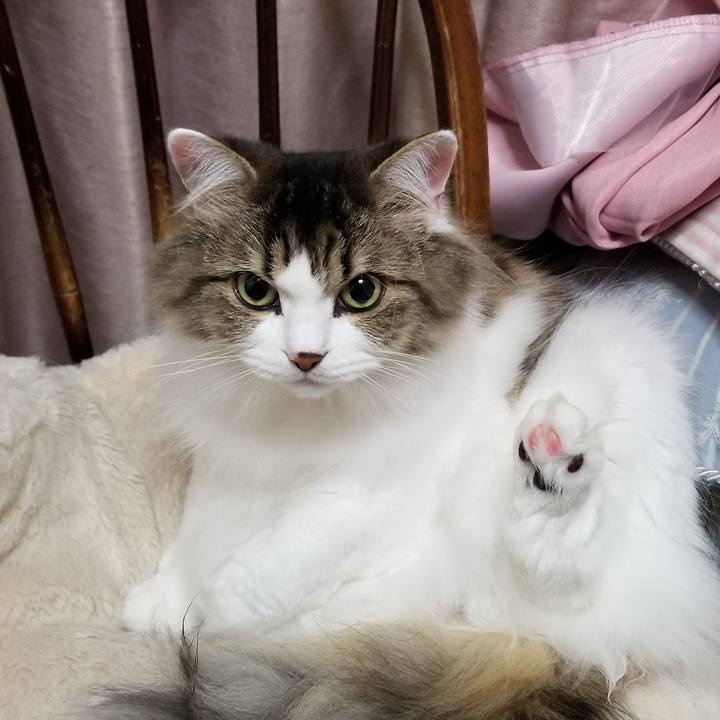 1f3e0dd3 23ec 4d3f 8440 8edd6fd5b8f9 1542895573714