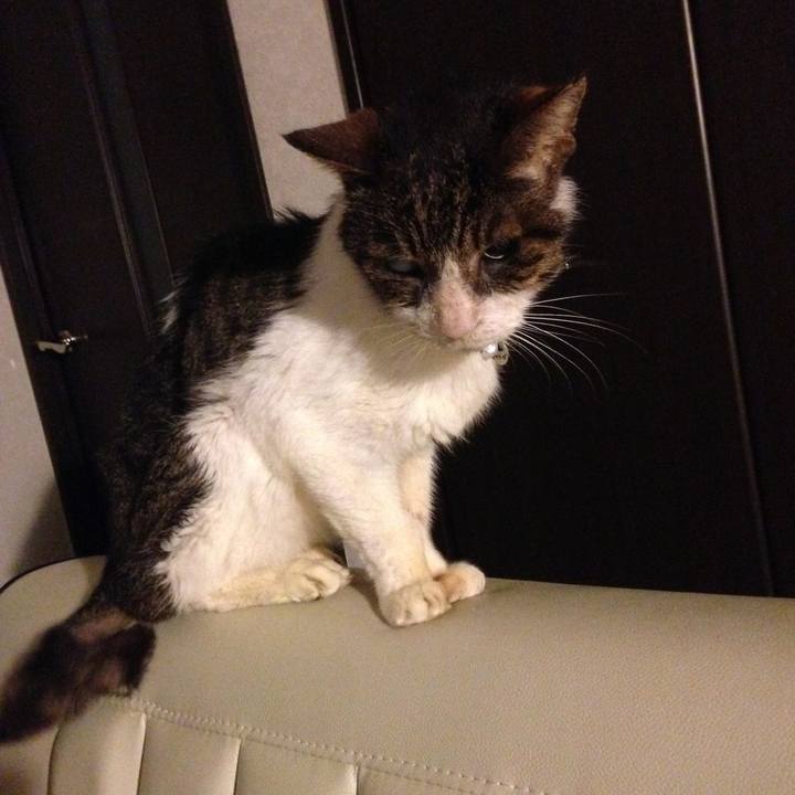 1f3e40cd 3d22 421e abc3 13d28ee588f3 1599555150089