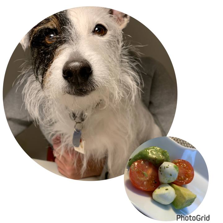 1f3e58c3 fe4b 4be6 9771 2faf63bf900a 1678525906287