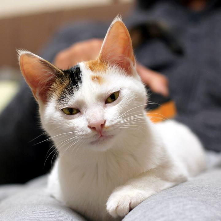 1f3e5fa2 dd33 4f27 9a35 84d2d9d2b325 1546739867113