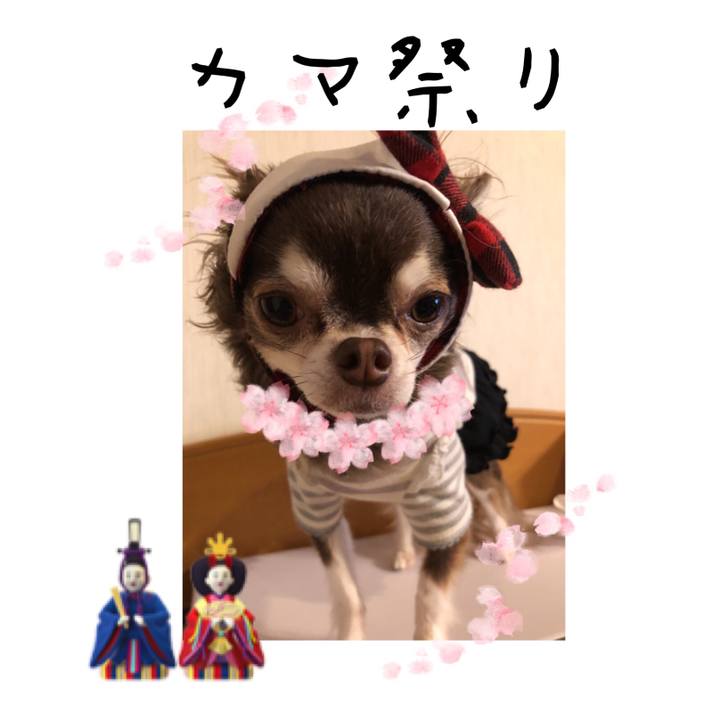 1f3e671e eaaf 41a9 931e 299ca6043930 1520066267770