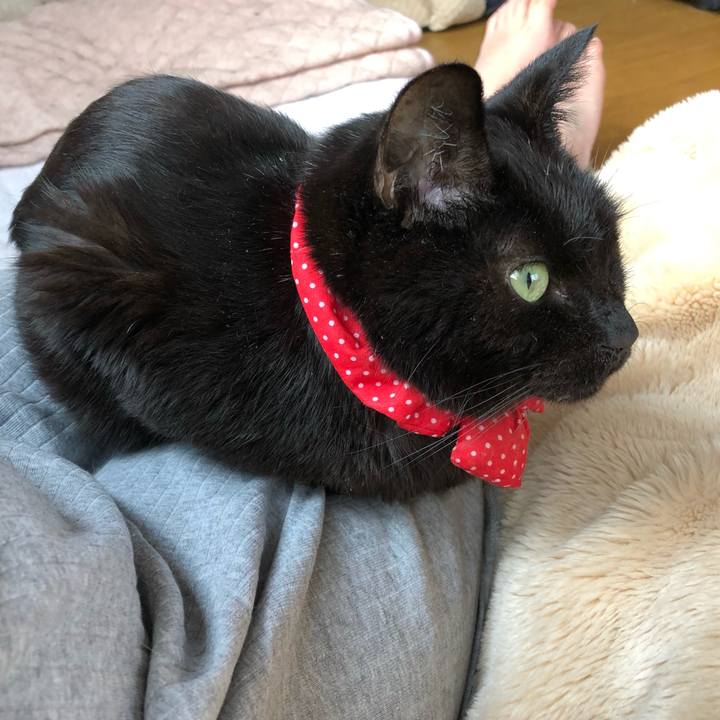 1f3e6c5e e37f 4030 9ac4 87e4cdf480f7 1554414489291