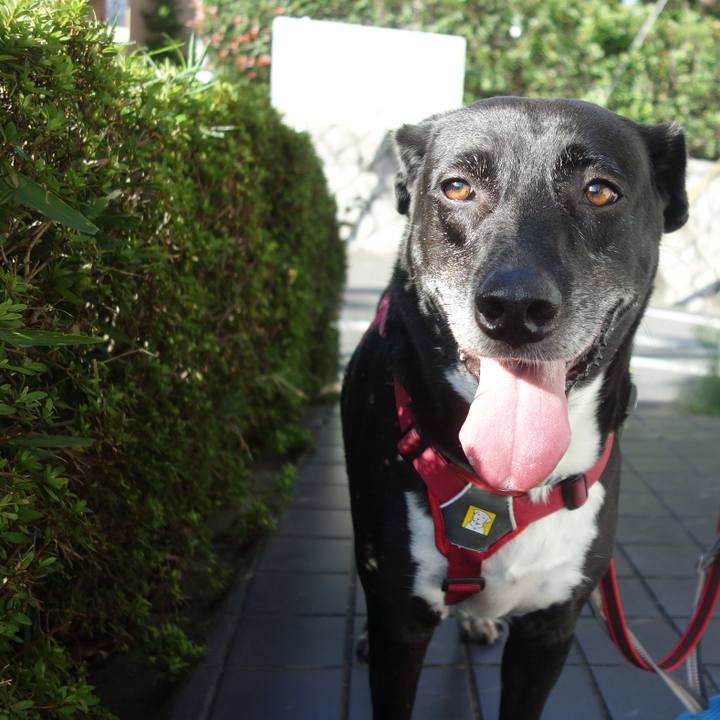 1f3e6c70 31f3 4169 b70c 887a3e34245f 1695688184322