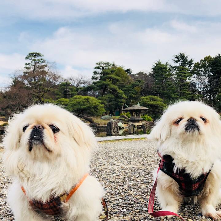 1f3e89b3 31fb 470e 9514 a50e88acb16f 1583576046190