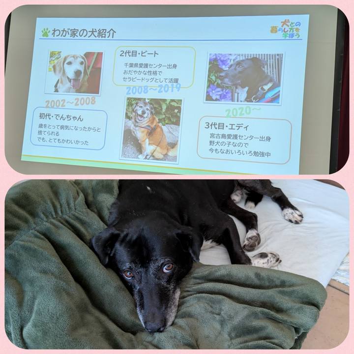 1f3ef6e3 d11e 43d8 b157 a9256d5442f2 1753787131586