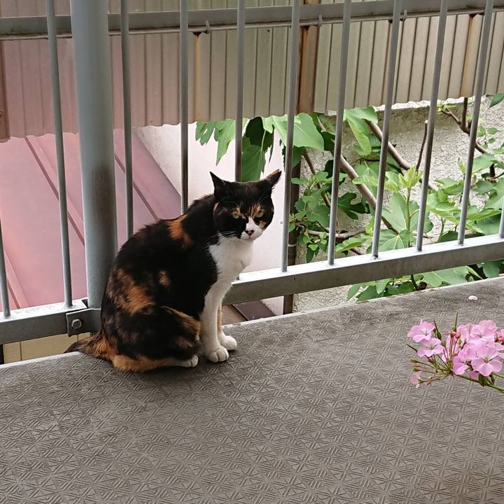 1f3f0ec0 59e3 4f1c b121 f5b0d68cfa82 1526719110859