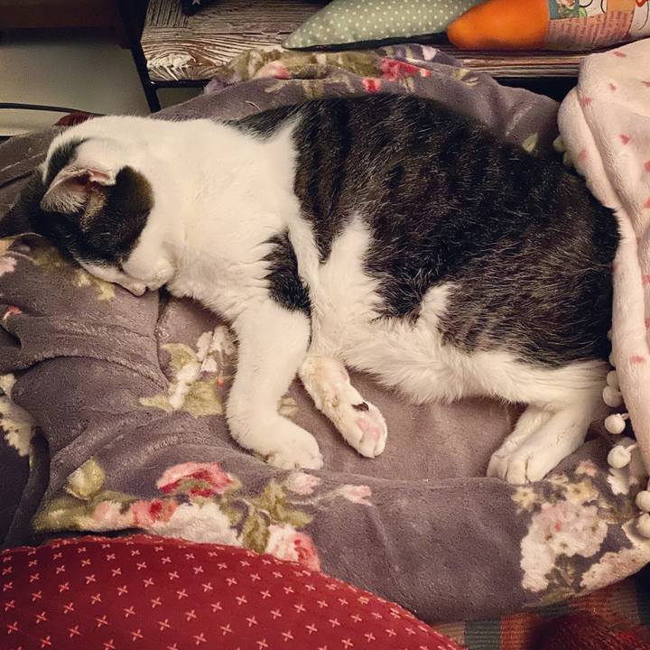 1f3f1700 21ad 4e39 9eba 0e21ab9ac181 1640355101020