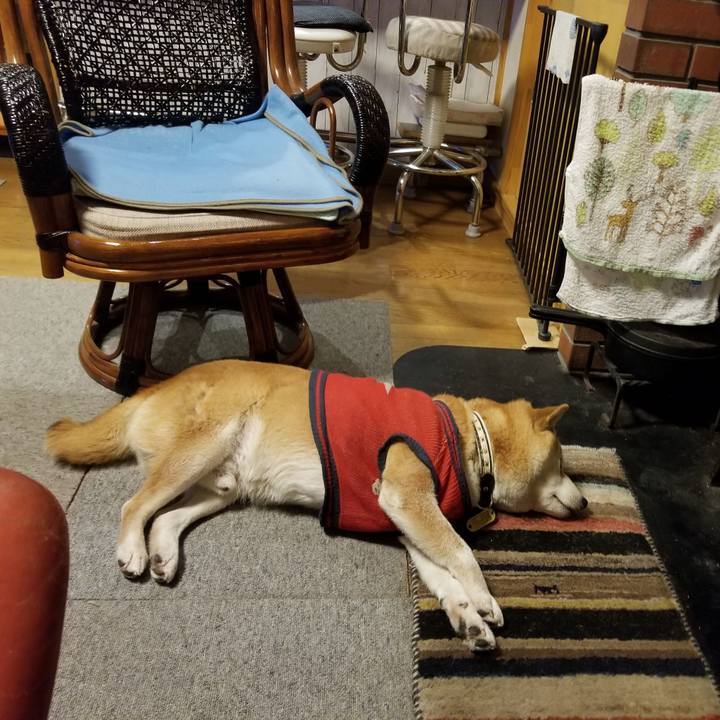 1f3f3f48 a453 4adc ab4c 66328473872e 1610099206438