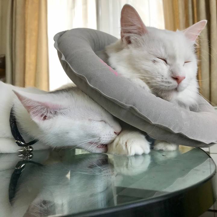 1f3f5027 f3d6 437b 8fe7 ca4efe1bda5e 1570270016687