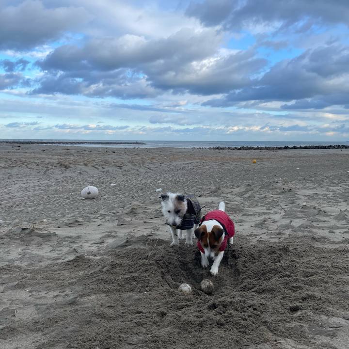 1f3f6a79 a387 4ce2 8ae4 ea10750b06fe 1672447580613