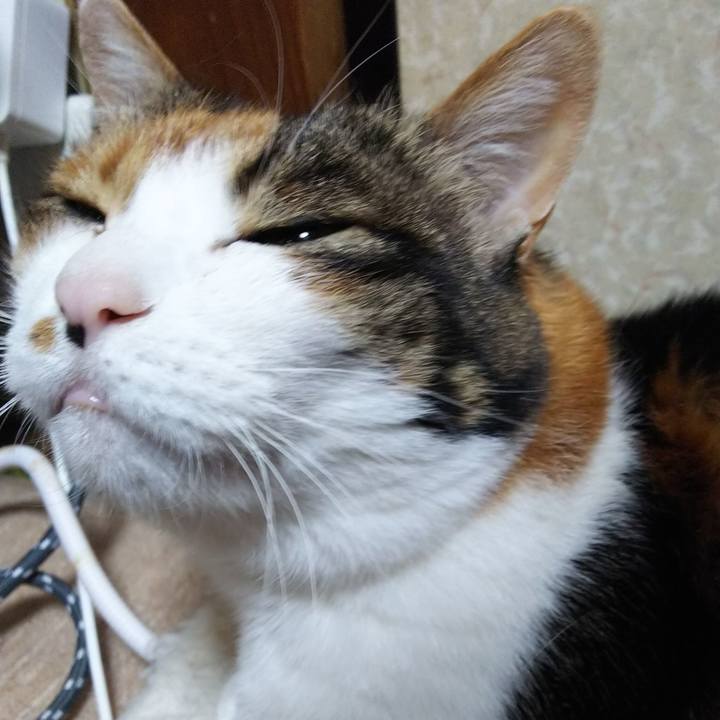 1f3f8805 3e90 4b3b 8f6a 7491f564439f 1552426989773