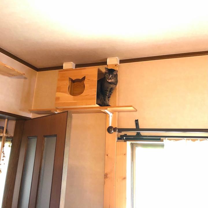 1f3fe177 511a 4acd 89f7 b57d7ac6584b 1632439792705