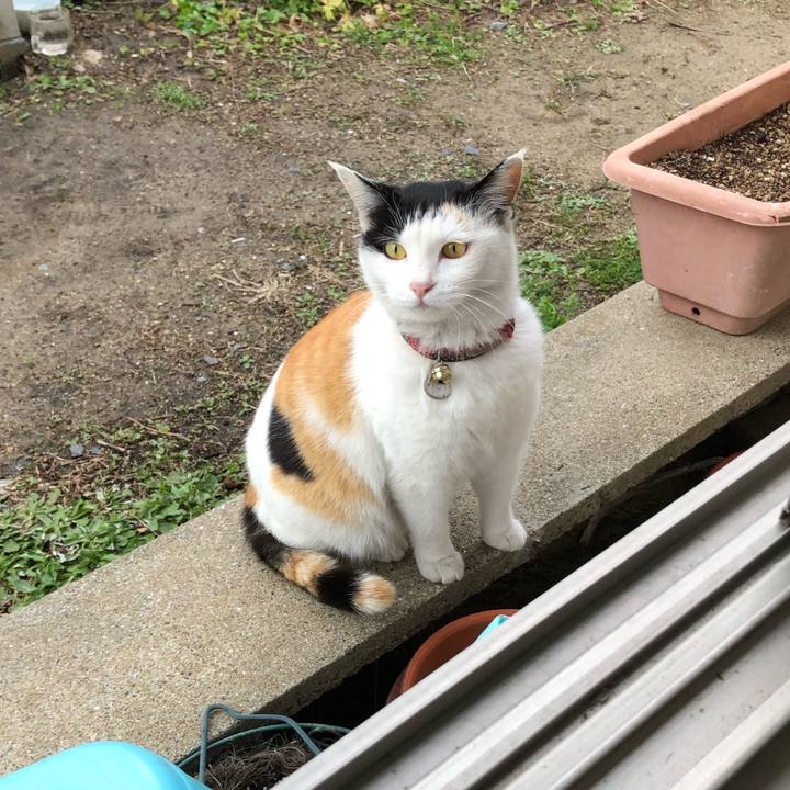 1f40326b 33b1 43f0 9802 f079d02e2183 1614381062332