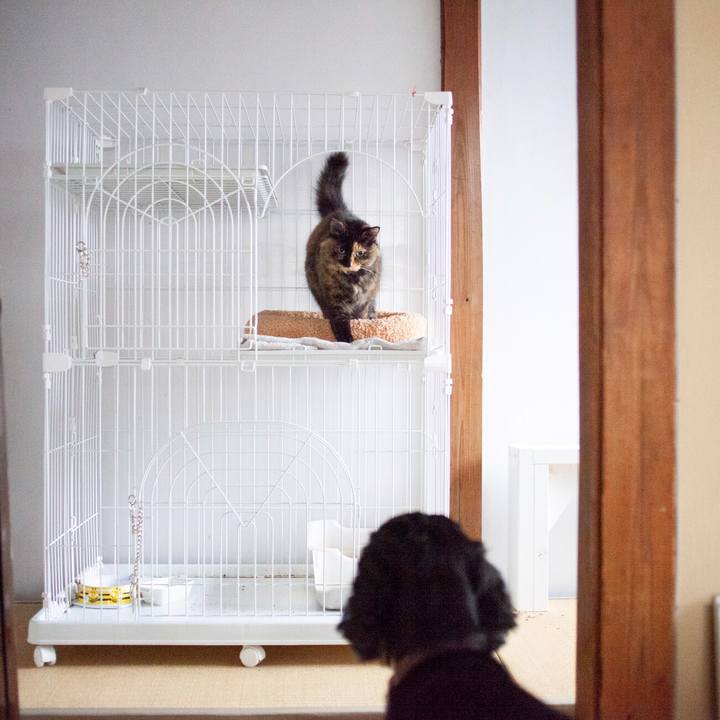 1f4051c7 76d5 4bf0 8c44 0e8e77752a99 1575506298964