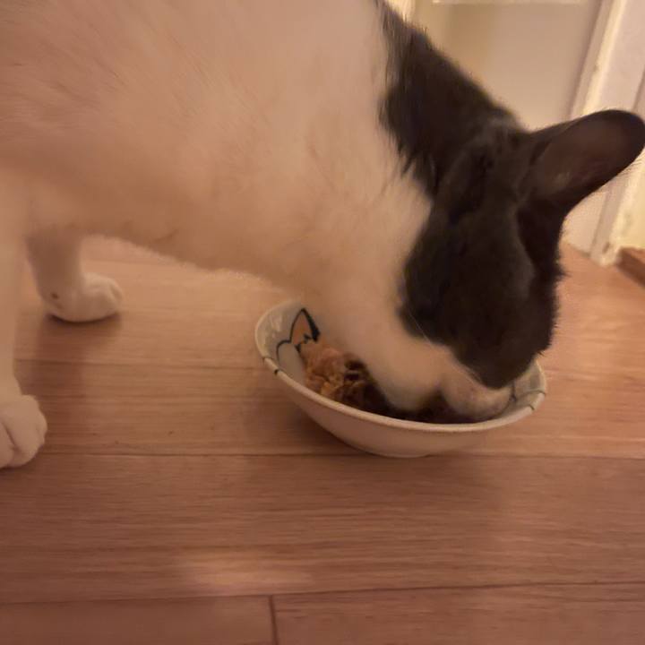 1f4052e3 a031 4515 90c9 38baf3a0bbc8 1641980507688