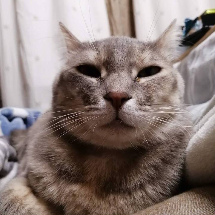 1f405f83 daa3 4d48 b8df 7aa5c71c2056 1579361236318