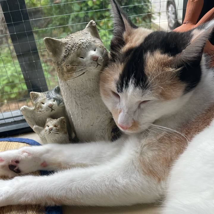 1f4078a0 b2eb 4ad4 86c9 8ac27efa9299 1692673752082