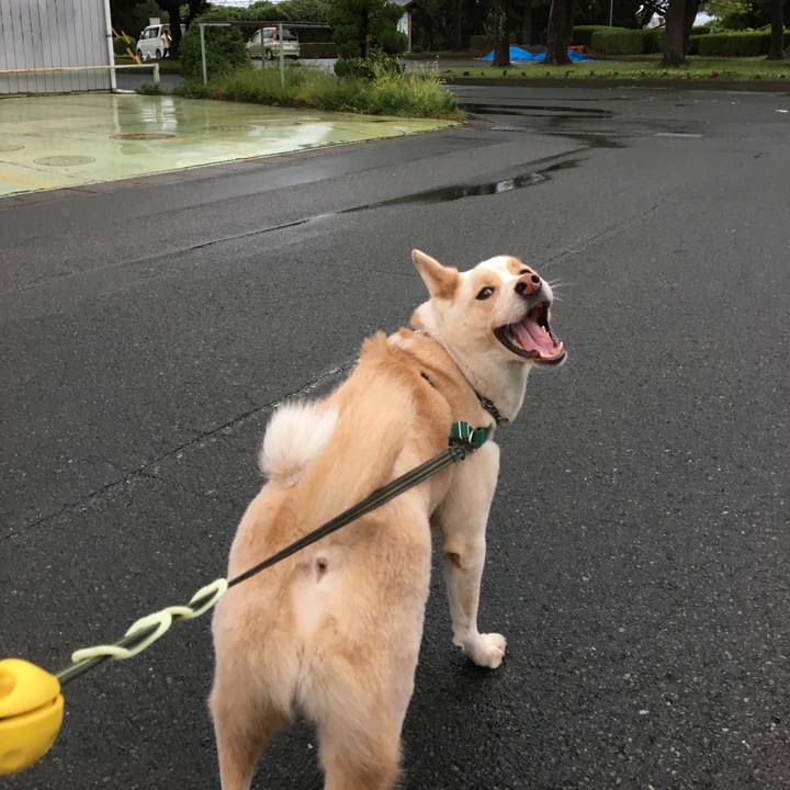 1f40e2e2 6aee 4edd 9319 c45f121cc007 1508658930084