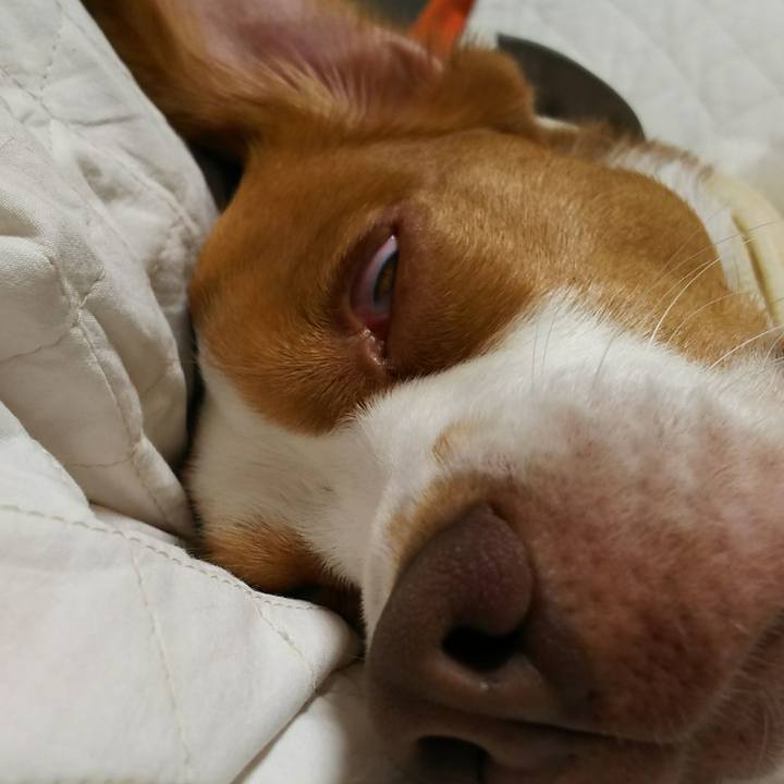 1f40fe4e a58e 45fc 8403 ae23c9e8e72f 1525009889289