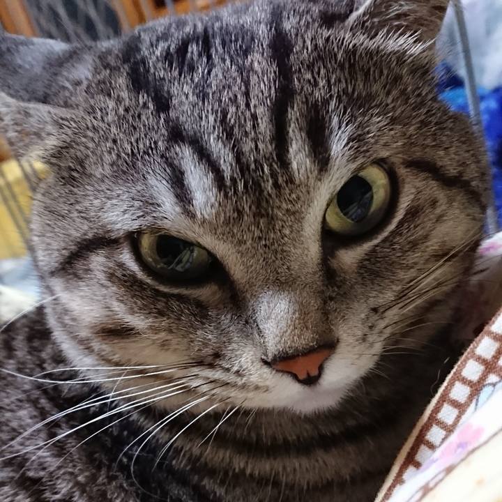 1f410462 016e 4627 bfc0 45a6171053e0 1521027452203