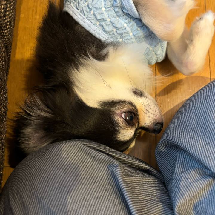 1f4166b0 3de1 4a50 8417 a20cfd998cb1 1726502701959