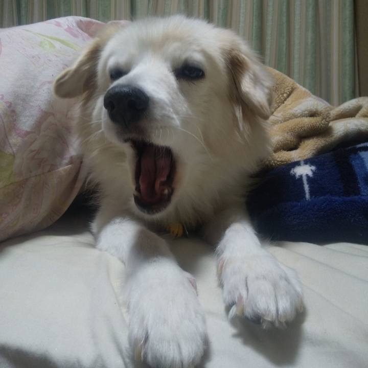 1f418d94 cbe7 4539 9fbd ad5701a87f40 1638826617358