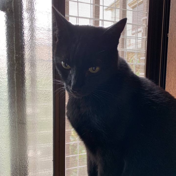 1f4190de 7d25 42b8 81ba ca51bfc9a0a8 1544838746089