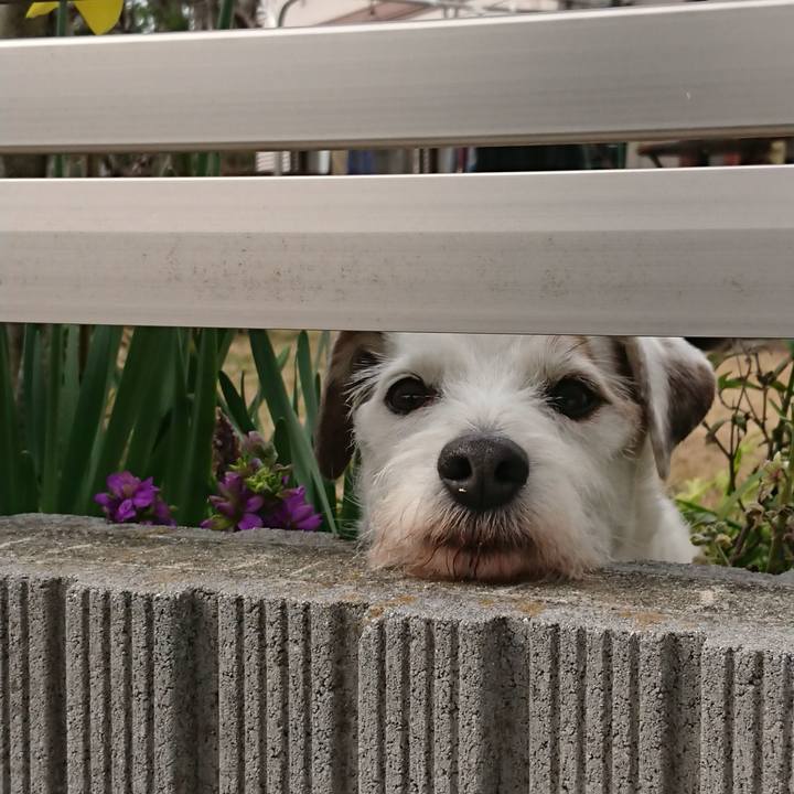 1f419760 7938 46be 93b2 12a10c37a8c8 1581895817941