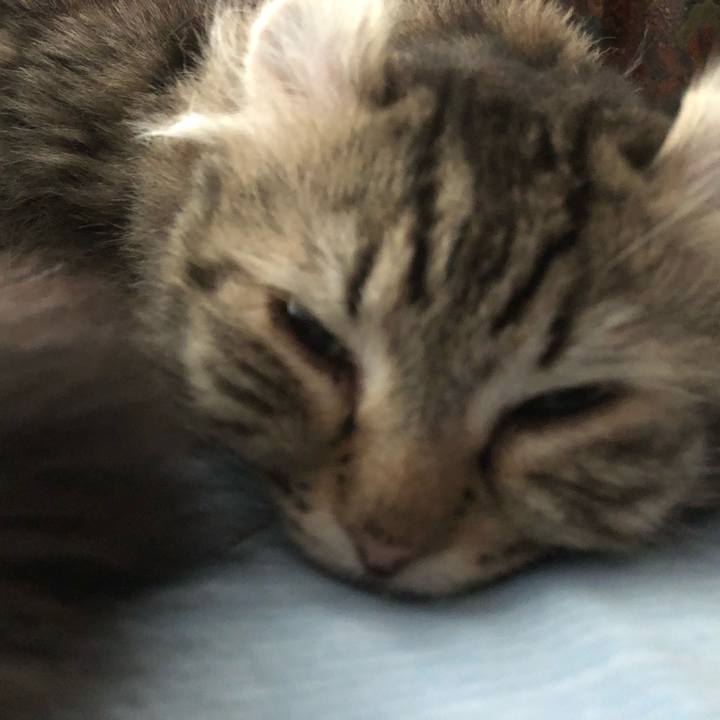 1f41df3a 7b6c 4978 ac47 4120c1fb43a6 1597503025813