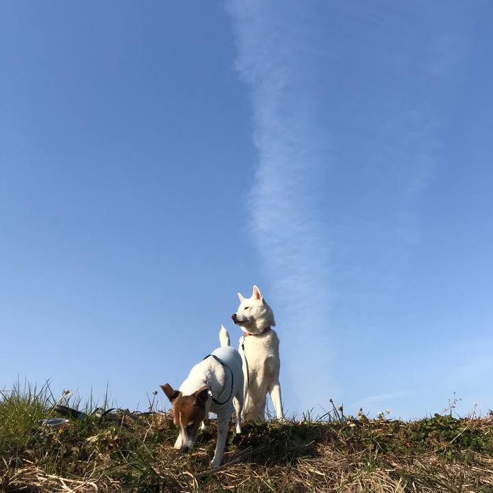 1f424b6d 7519 43ea 8326 f09b667f5061 1516543181103