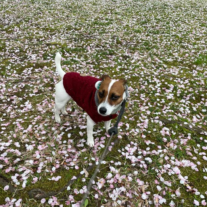 1f426ad4 c0b6 49d1 8b93 3a157bf21a74 1650020374911