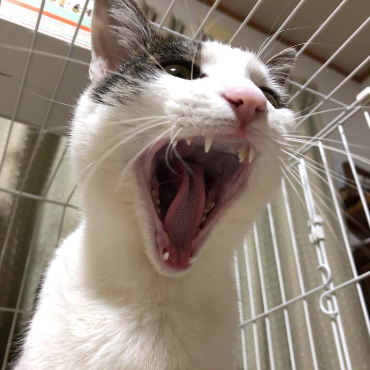 1f4295be 068b 464d a0c6 2e0326c4a7ef 1613734562206