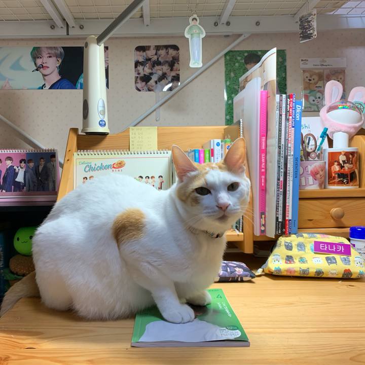 1f42c8f6 454d 45fa a4d9 98c71d946761 1554393192943