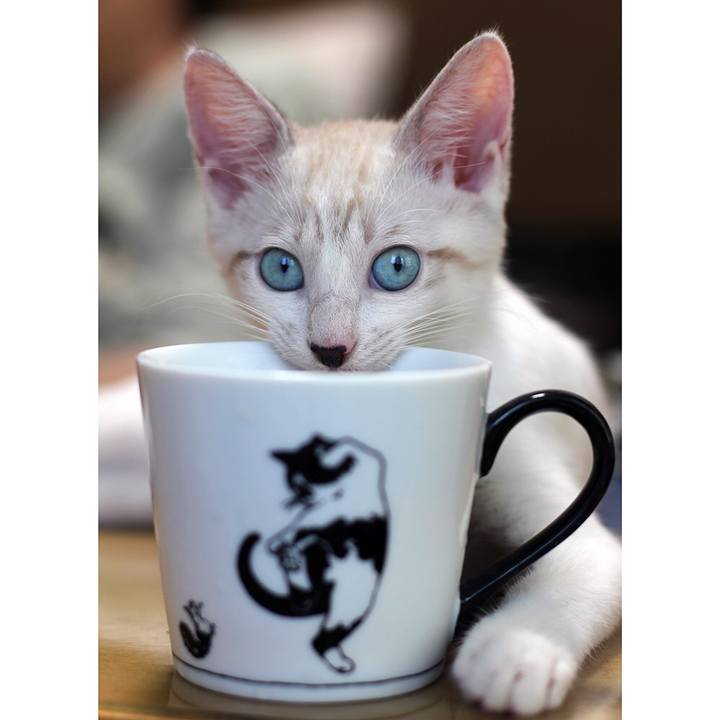 1f42eda8 0300 465b a683 f7e2c59a68c7 1599826934879