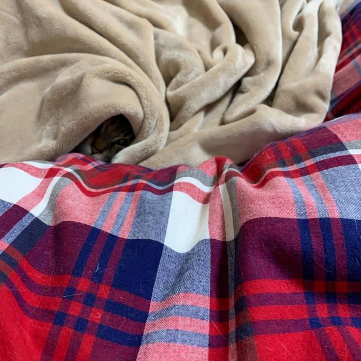 1f42f381 379f 4d23 89e8 f89fd4b1e7db 1609759283544