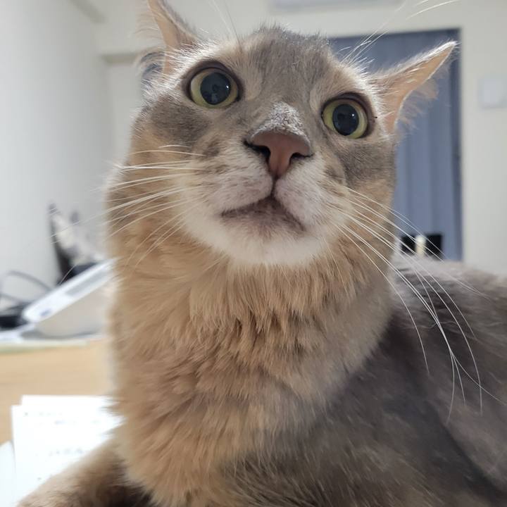 1f4319e6 77c8 42da 92a4 e6454e0ecb1d 1698148911048