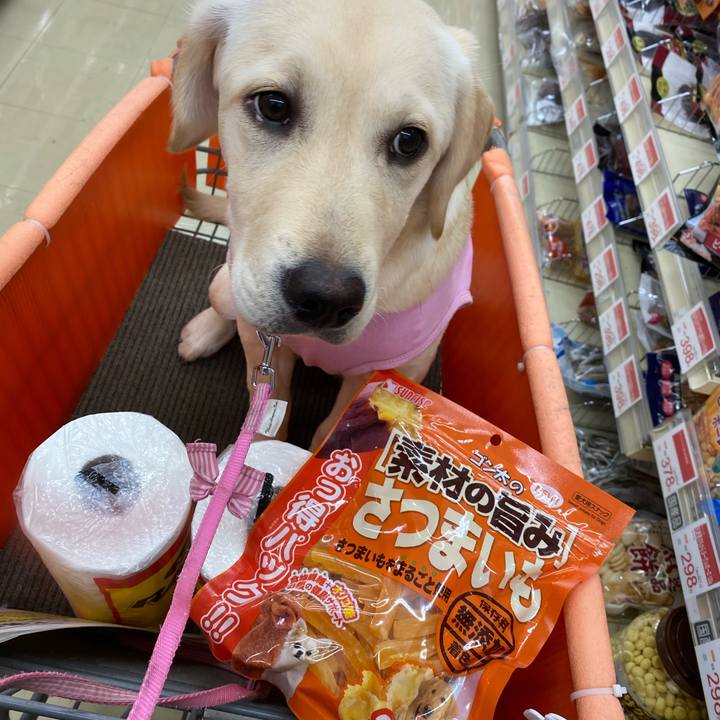 1f4367f8 0d65 4e02 9094 c5bf1a59d76c 1617082032797