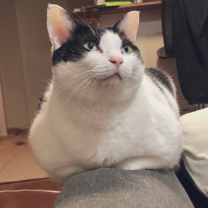 1f437d8f a04c 43dd ab15 9124b5987edd 1549371133841