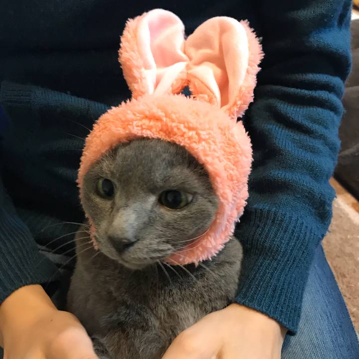 1f438f87 6b03 47b4 bb72 3b3187d08282 1518606252752