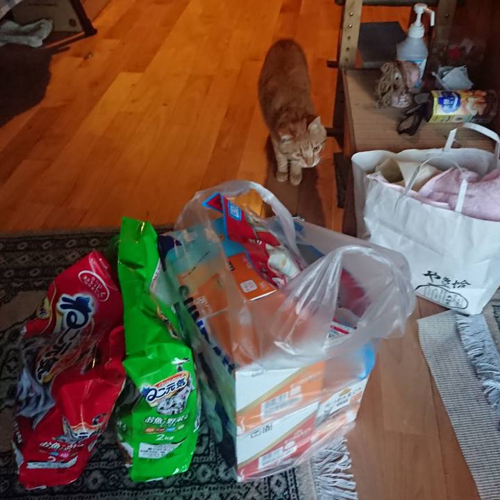 1f43b78a 7851 4fbb bbb8 d7e515b4e2c5 1651571520079