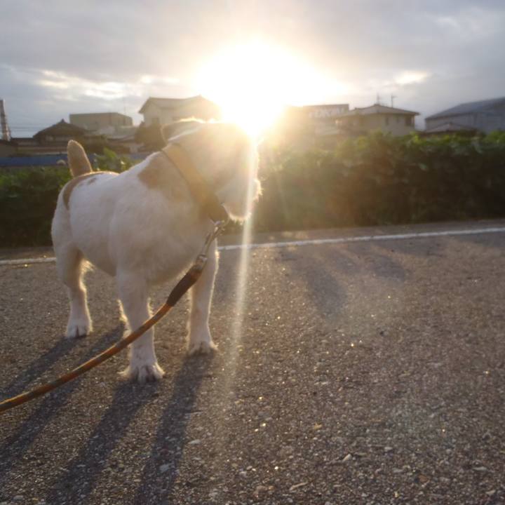 1f44250f b8e6 4f2a 90ff b1c722c6485e 1534029576788