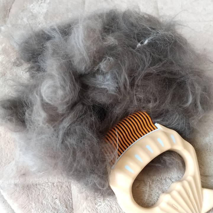 1f442b09 2f1f 44ed 8dc3 d72ab0e0c255 1647861848778