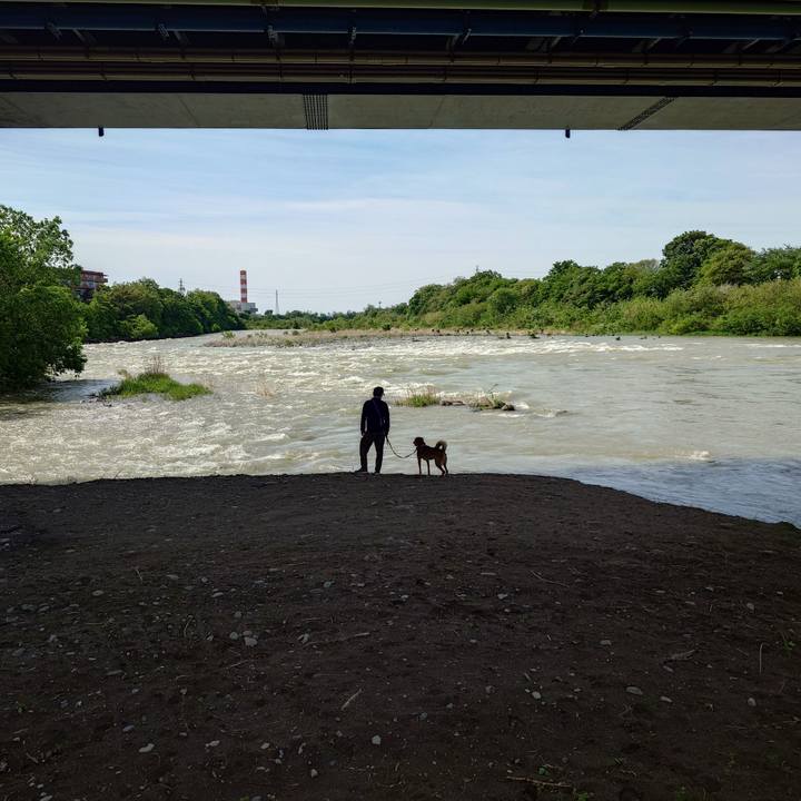 1f4433ae f307 4acd a439 5d79d8c44d43 1746923345391