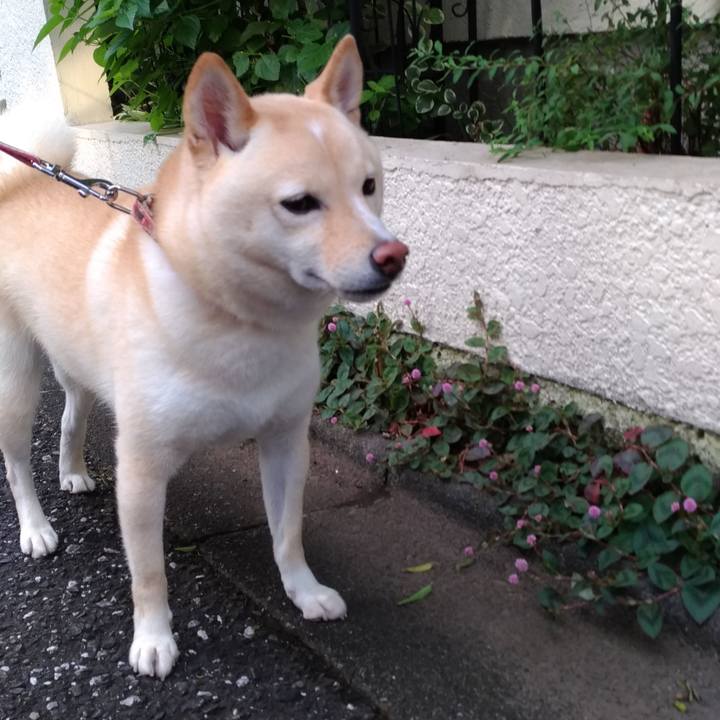 1f443712 ba95 4d93 bd3d 22d7d42fda51 1603231277119