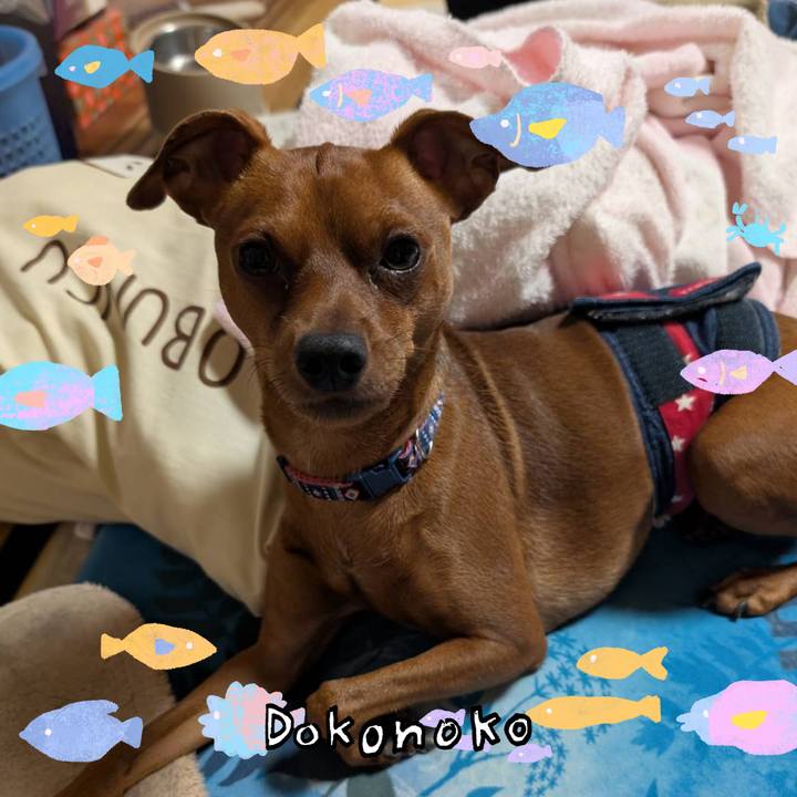 1f4483a6 2822 435e a7fe 02fc49d8654c 1755522444339