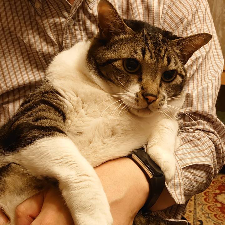 1f4492f0 4b5d 4d2c b012 5845b55453b8 1634395213582