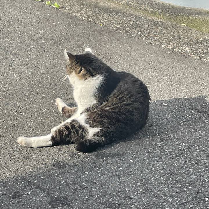 1f44d00c 28cd 4040 86b0 64f9e91334d2 1715476608393