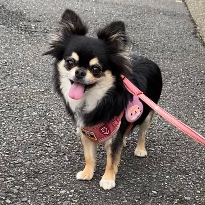 1f44e602 cbae 43a7 9739 db0048aaa432 1625221156727